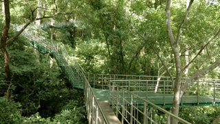 Hanging Bridge at Thenmala